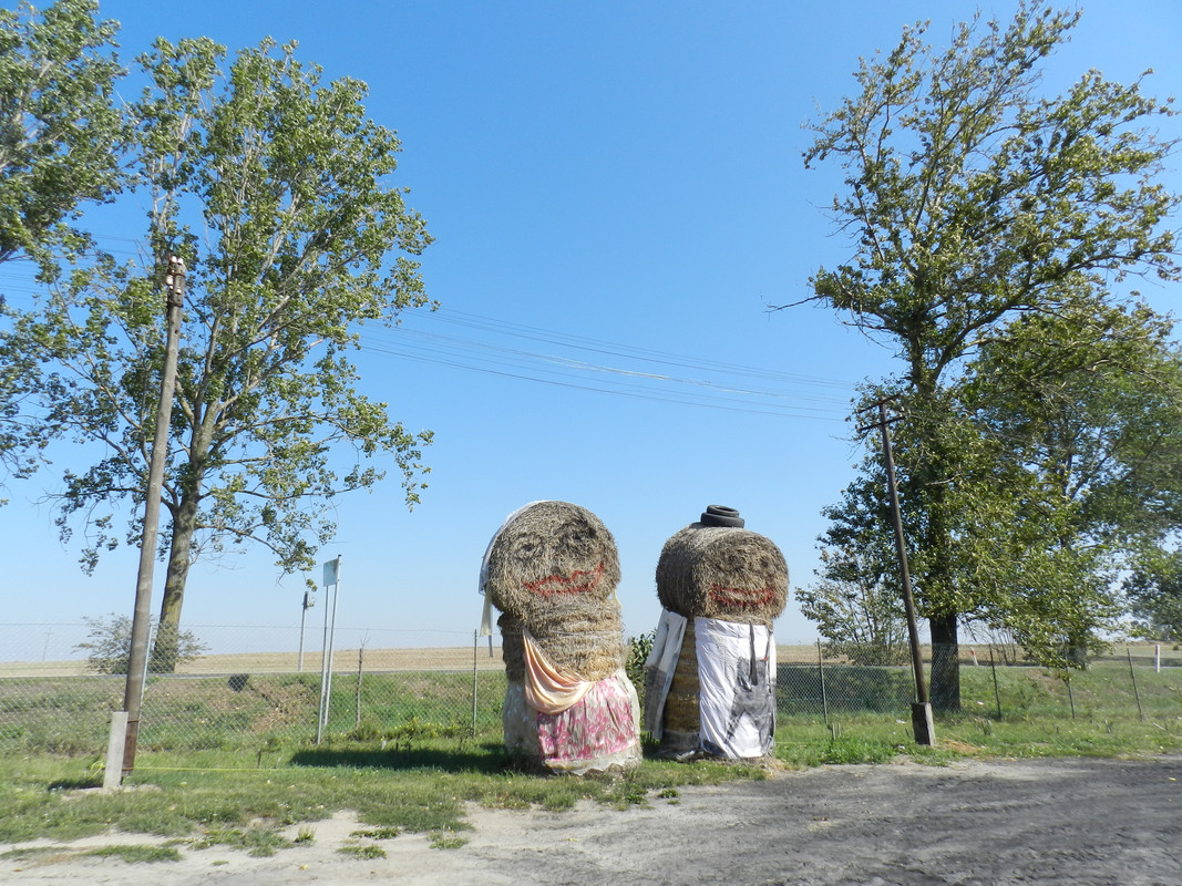 17.47 - DSCN7198 (Milady)