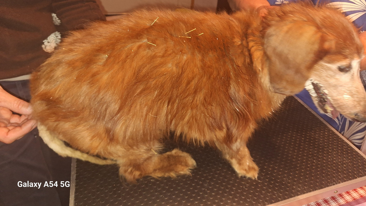 [Image: 20240831-092917.jpg]