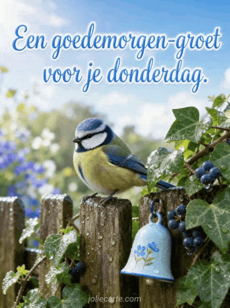 goedemorgen-groet-donderdag.gif