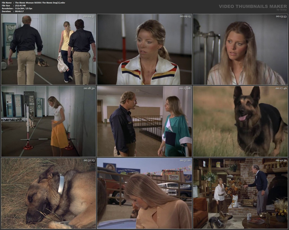 The Bionic Woman S03E01 The Bionic Dog(1).mkv