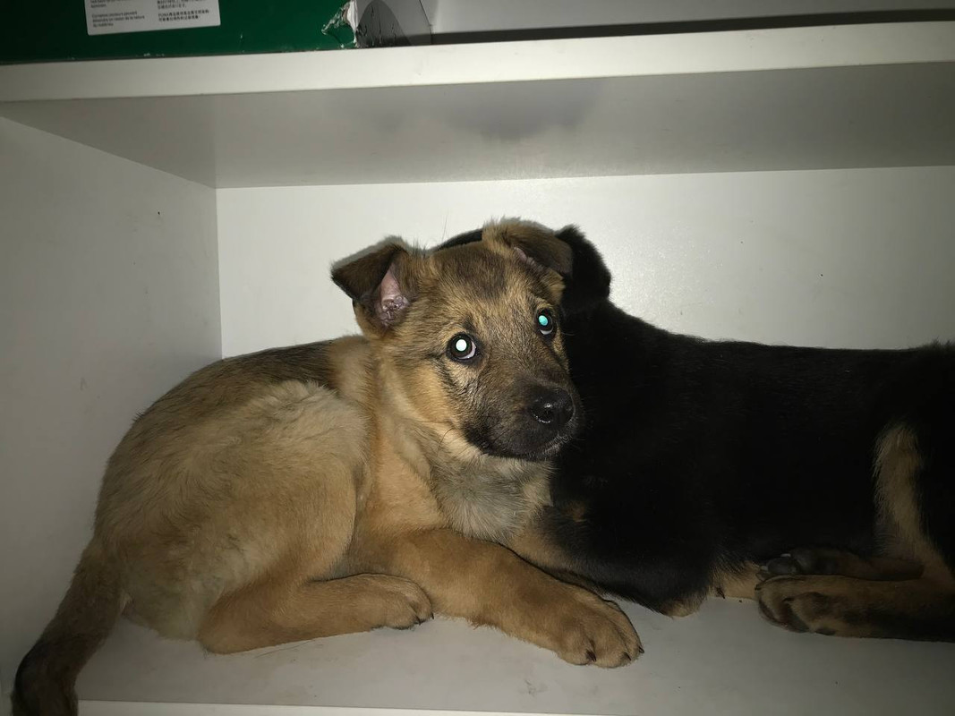 7087939B-164B-49D2-9465-D6C63583F7D1