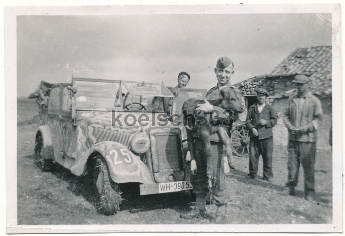 Foto Soldat mit Kälbchen Mercedes Benz PKW Tarna