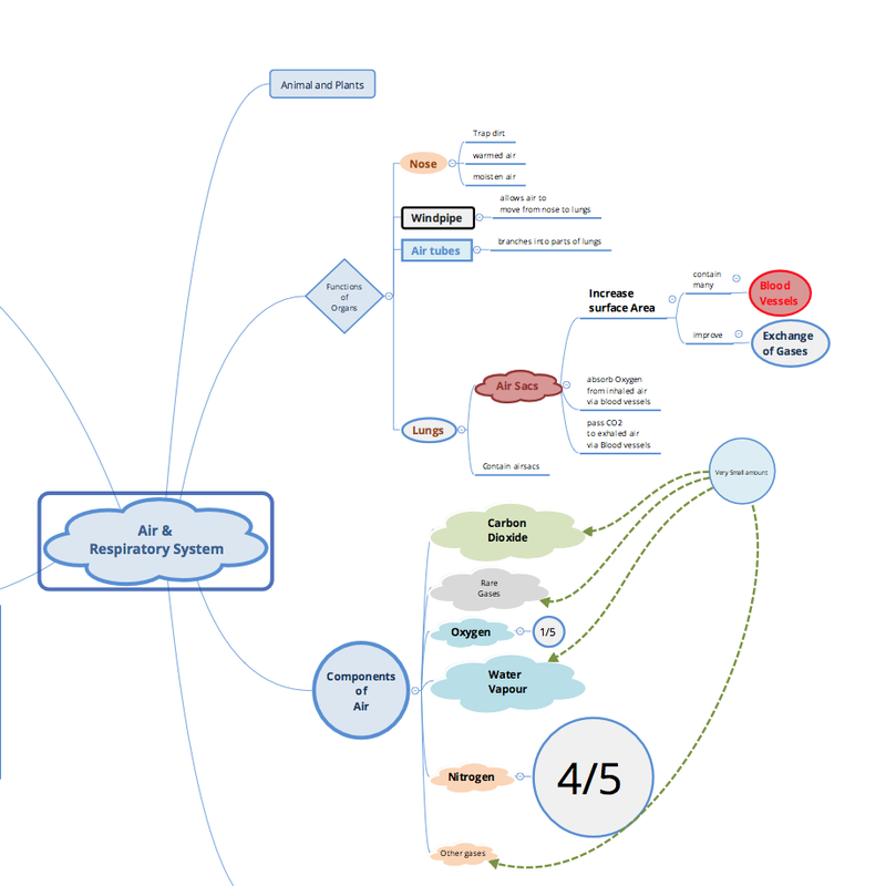 Screen Shot 2020-07-25 at 12.06.28 PM