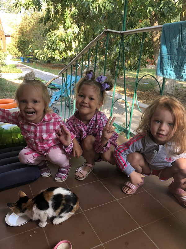 7E6DA415-28F8-4E36-A2C8-0C728A73ED10