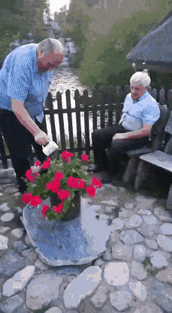 daily-gifdump-3383-30.gif