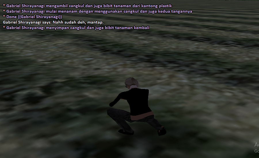 SS2.png