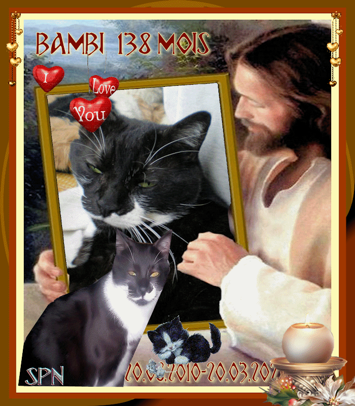 BAMBI-138-MOIS-GIF