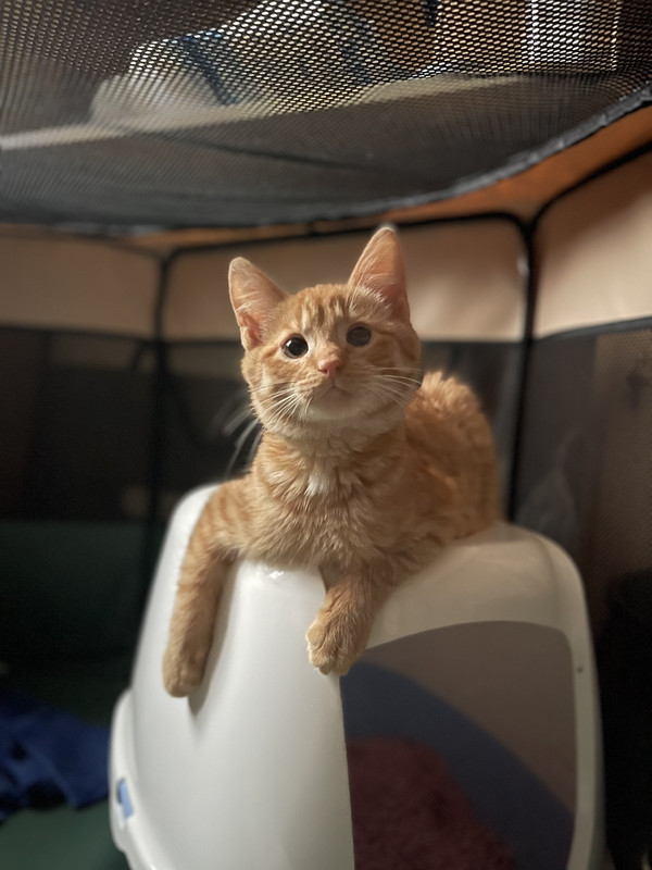 19BEAA77-C503-4A1E-8232-154FA61EDF63