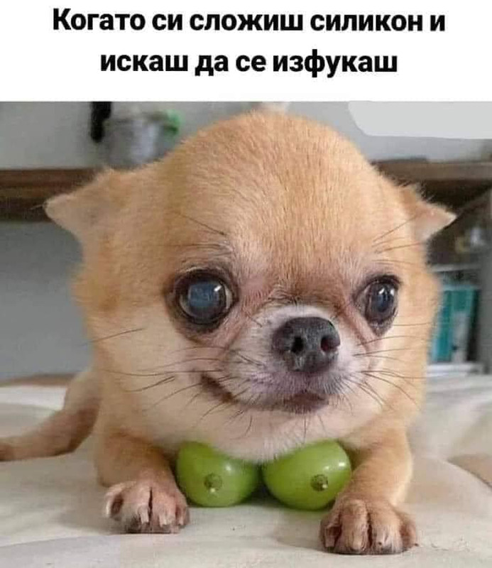142436778_3906801569340091_6759705005818121292_n