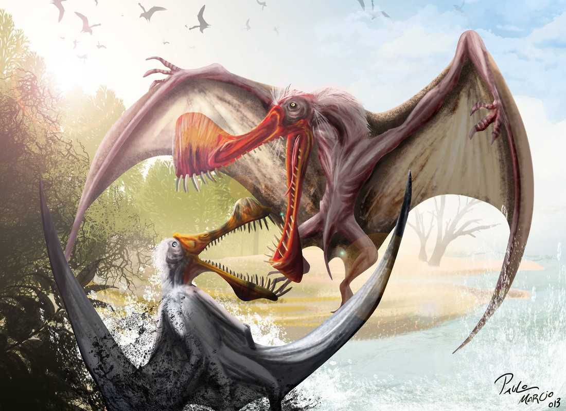 4d43d74ae6e3f9d60053a6d621d1dc59