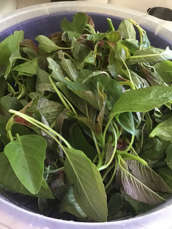 CC057974-8FCC-464F-B65C-296E6C03C2D6