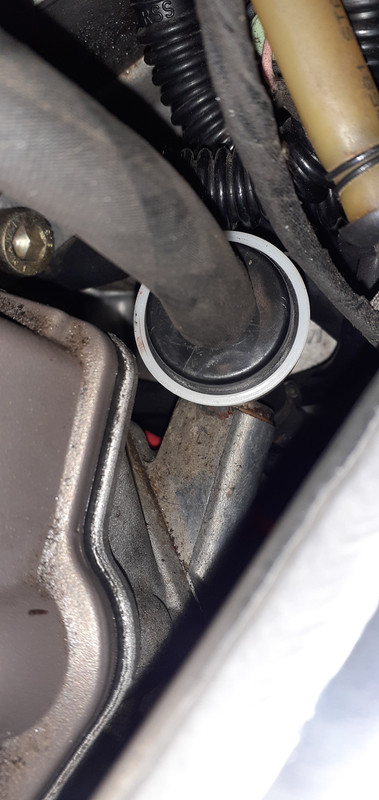 E7839B5D-FABB-404D-8636-6016EE9BE8BC