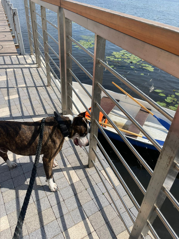 4118F6B6-D5C5-4941-968F-A17EE1E29476