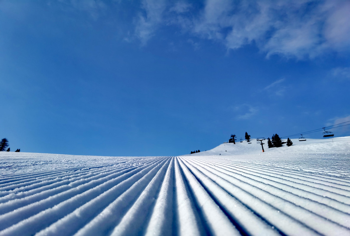 IMG_20220306_090802_edit_333992619650077