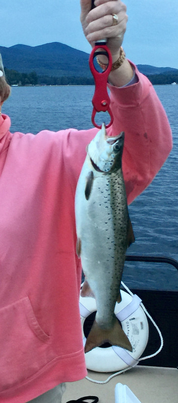 E48EBF23-C25C-486D-8455-FA9F9800582A