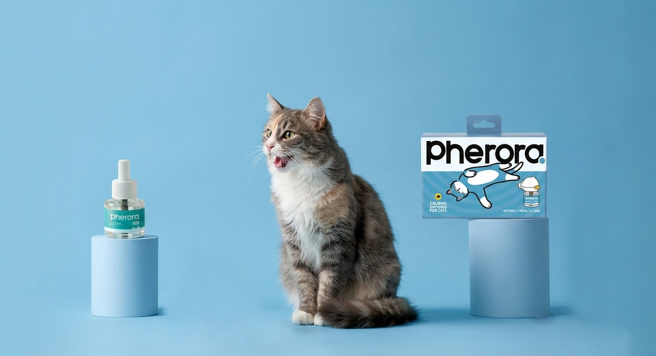 Calm cat resting beside Pherora — vet trust