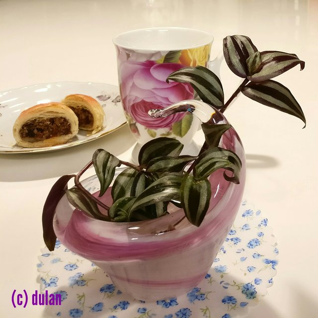 [Image: IMG-20230221-190129.jpg]