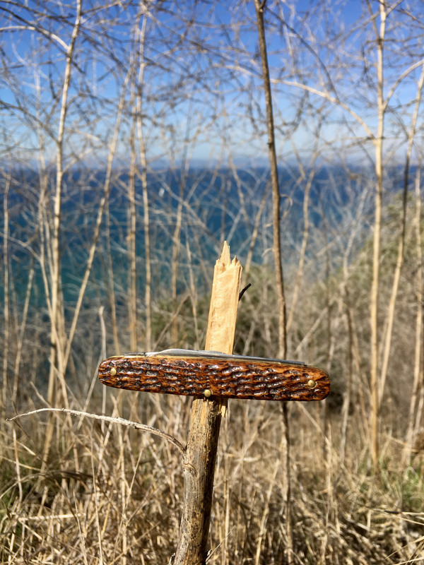 DAB1A376-8AAA-42AD-8EF2-9BE9DB9EE312