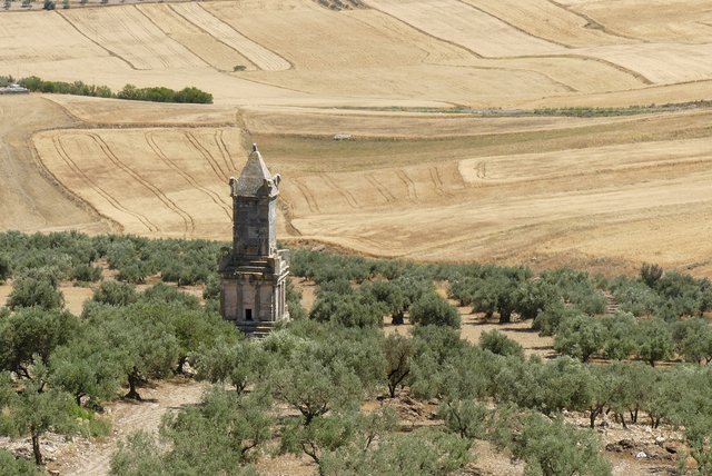 Una semana en Túnez por libre - Blogs de Tunez - Yacimiento romano de Dougga (19)