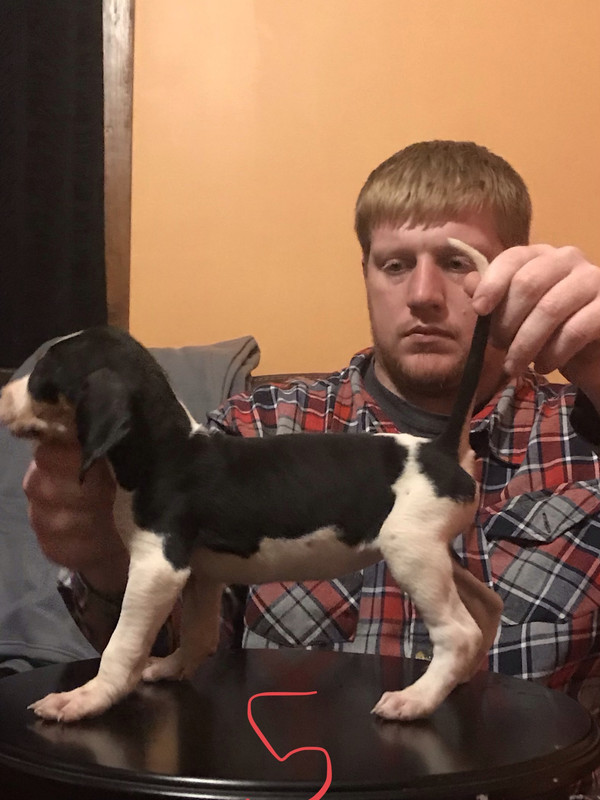 337F0902-6FEA-4C3A-8738-69381955CEBA