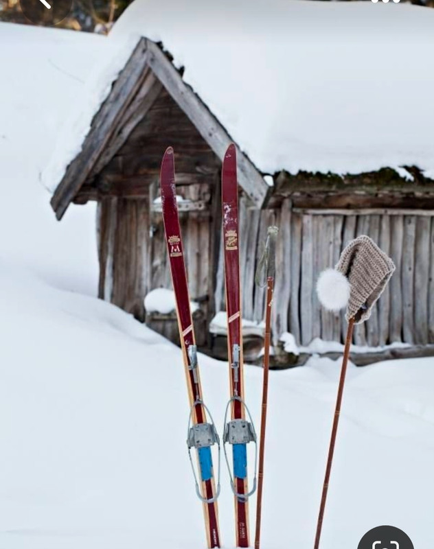 Screenshot_20230509_001556_Pinterest