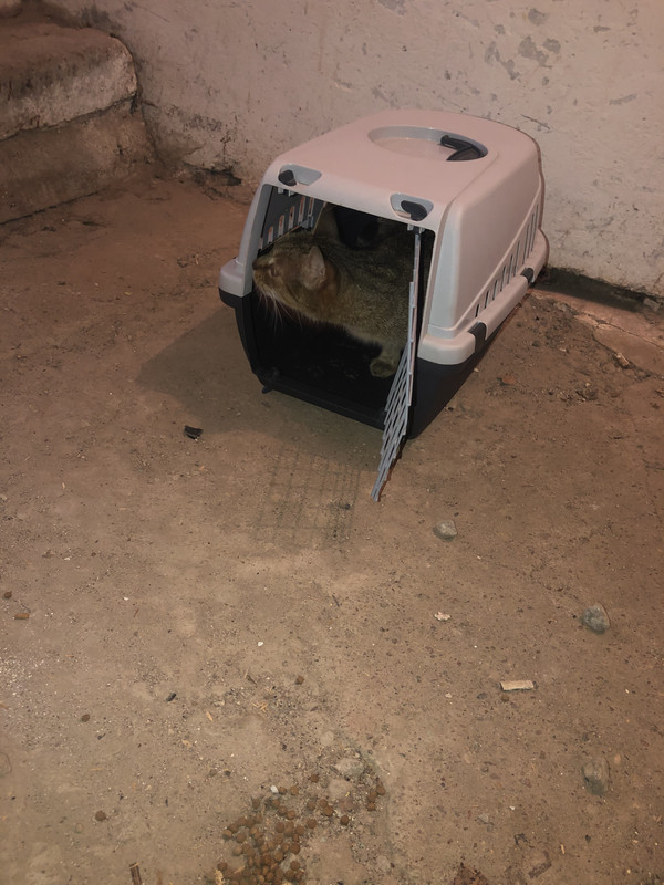 E9B77EE2-5AF6-452D-A654-06D0F0CE844C