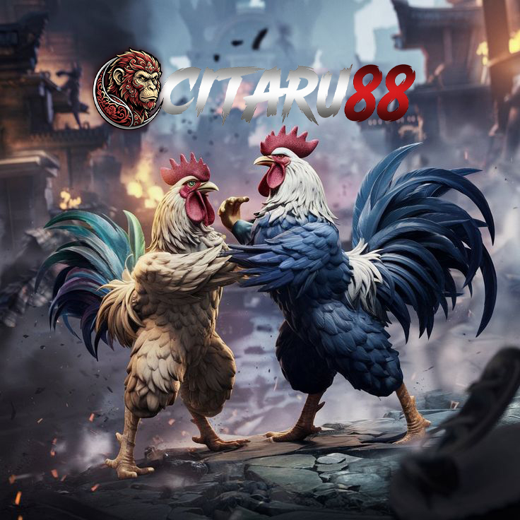 SV388 ? Arena Situs Judi Wala Meron Terpercaya Penyedia Link Resmi Sabung Ayam Live 24 Jam