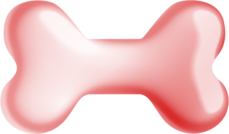 Christmas in Forest13