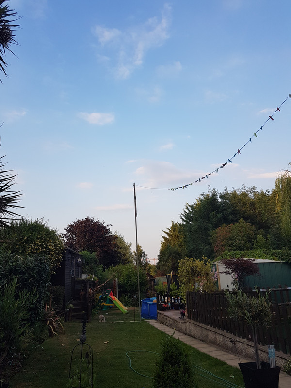 15308168498251766014981459612243