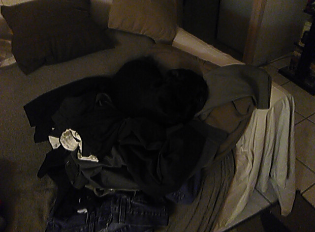 [Image: PANO-20211023-224528.jpg]