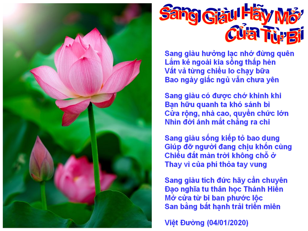 Những Đoá Từ Tâm - Thơ Tình Yêu, Tình Nước - Page 25 Sang-Giau-Hay-Mo-Cua-Tu-Bi-Vntvnd