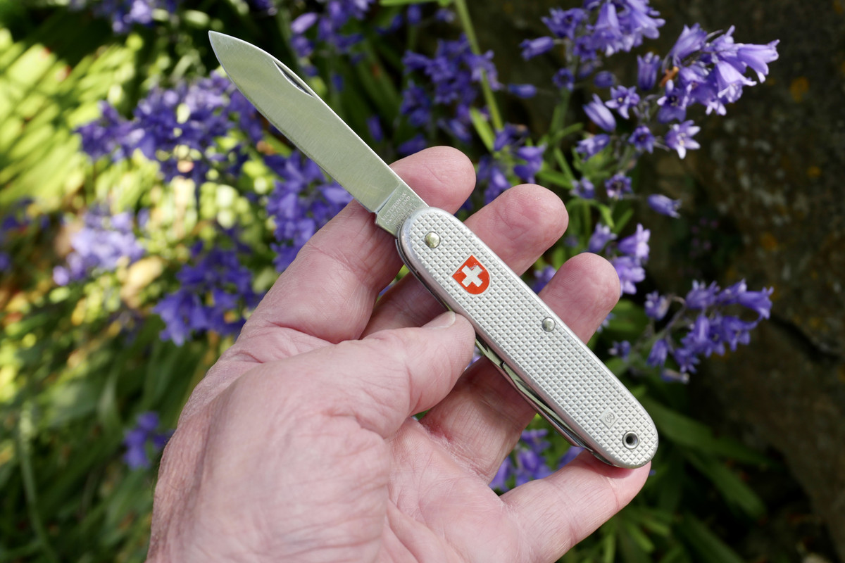 38D4041B-34AF-44E0-A4FC-FABD7074E0CC