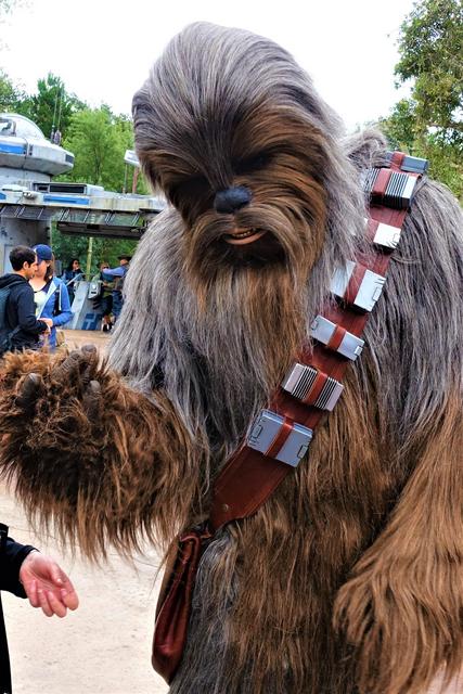 PERSONAJES EN STAR WARS: GALAXY'S EDGE - DISNEYLAND ~ STAR WARS: GALAXY'S EDGE, LA GUIA (1)