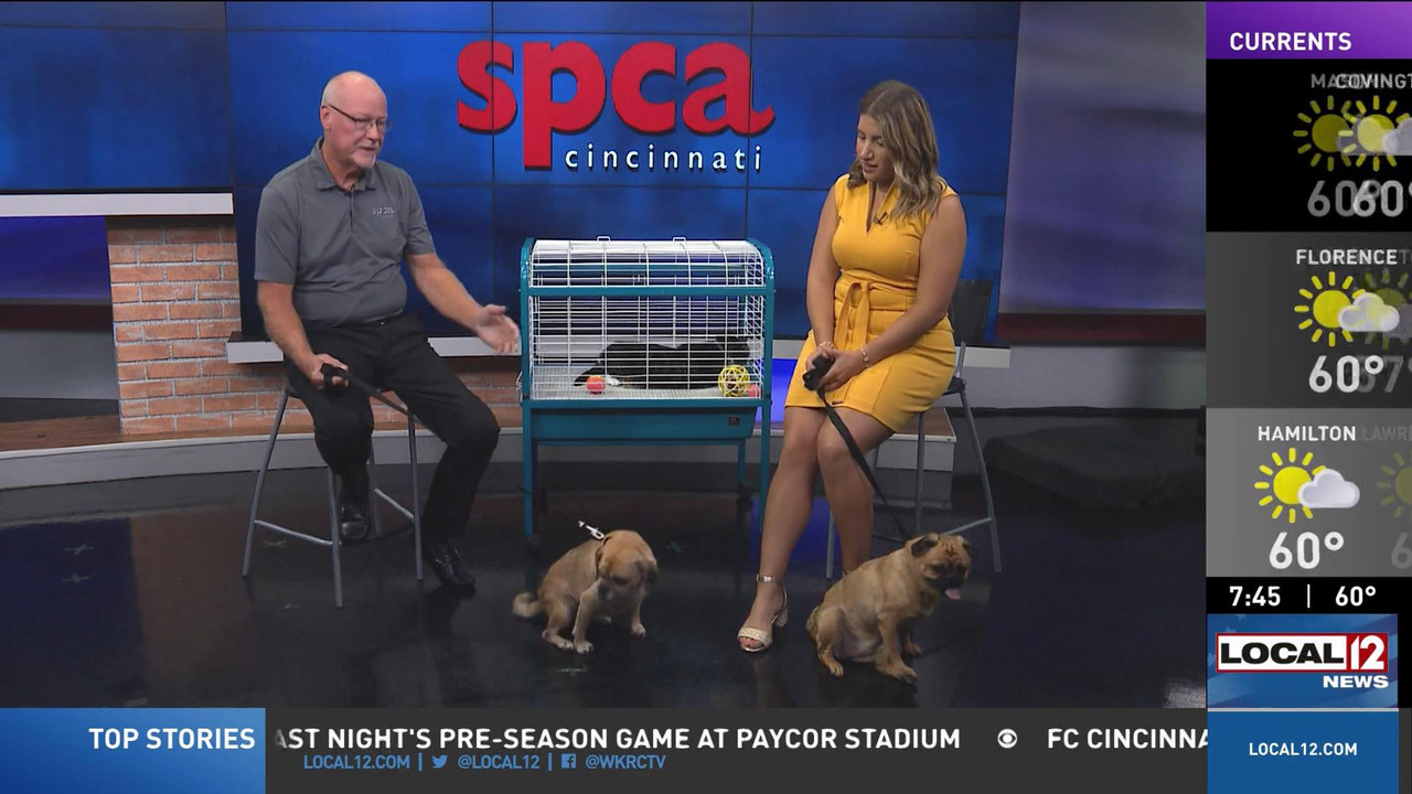 08.13 - 11.00.00 - Good Morning Cincinnati Saturday  ᴺᵉʷ. News covera....ts_snapshot_01.52.03_[2022.