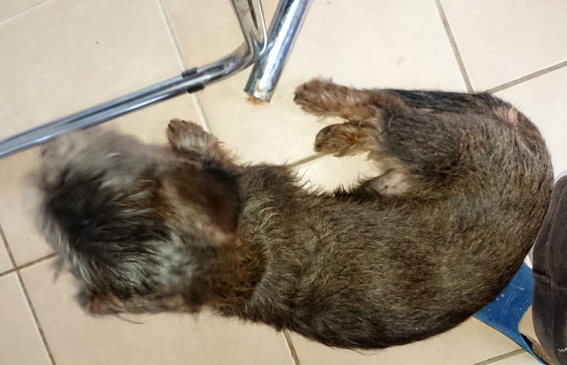 [Image: DSC-2432.jpg]