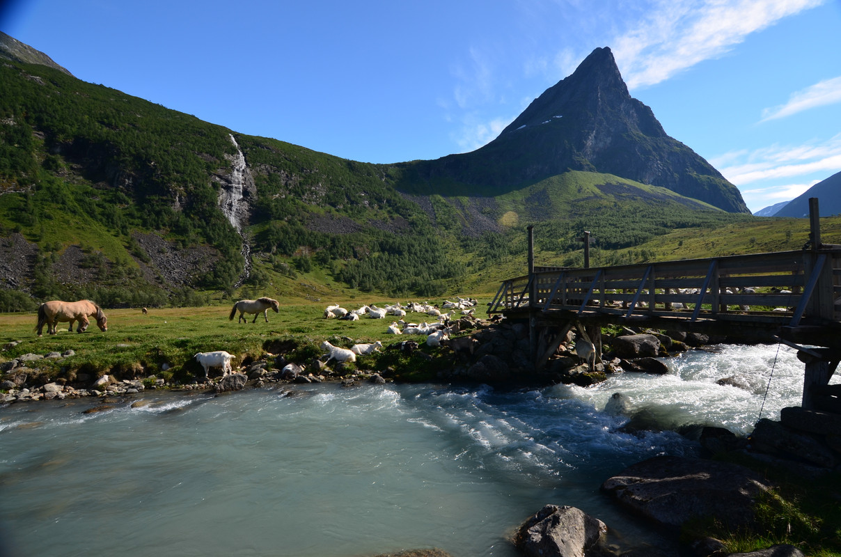 Noruega 10 días de cabañas y con niños - Blogs de Noruega - ETAPA 3- Geiranger- Granja de Herdalssetra (6)