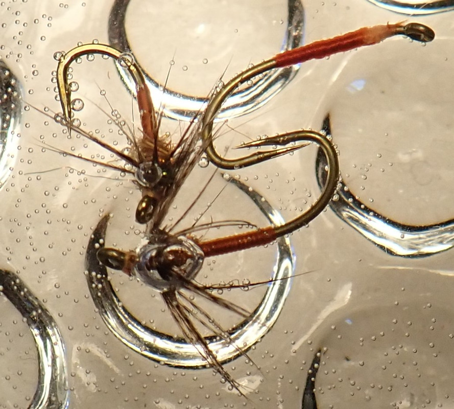 Screenshot 2021-11-30 090639