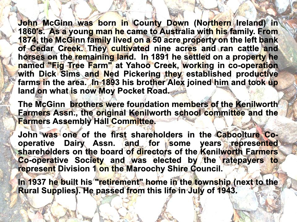 John Mc Ginn 1891