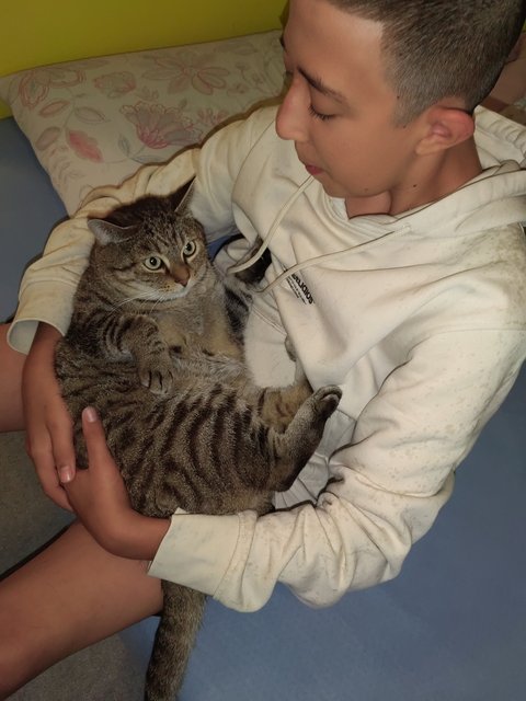 Slika