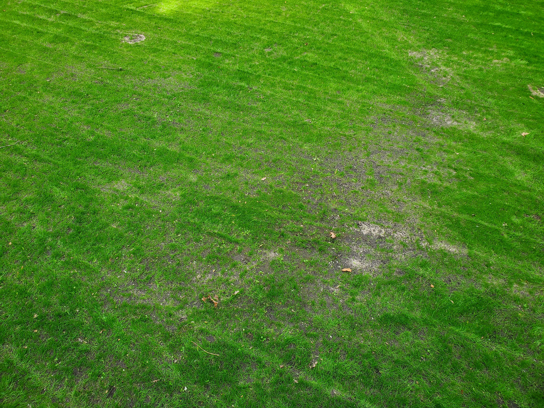 E15EB627-5679-44C2-916F-A6AE41E41C74