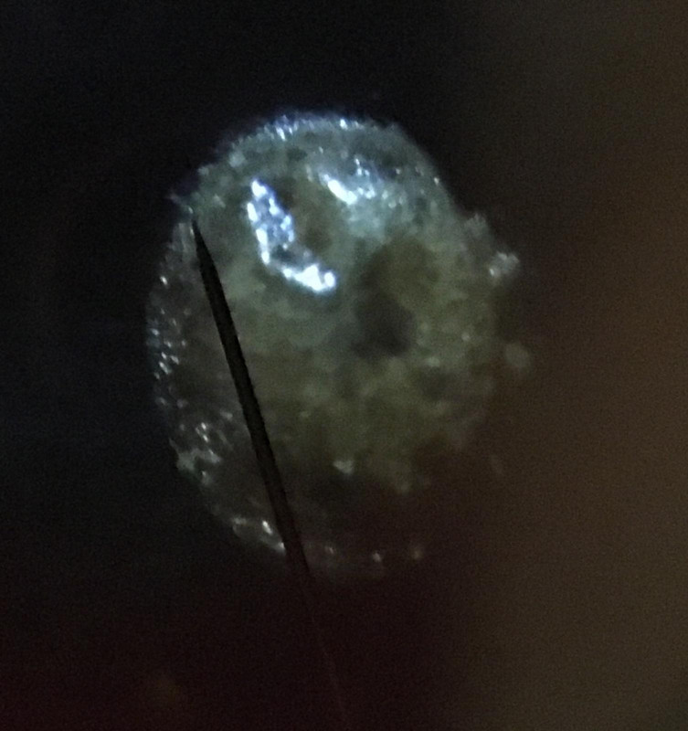 E1B37D42-5600-448A-808B-2ED9CD1E17B3