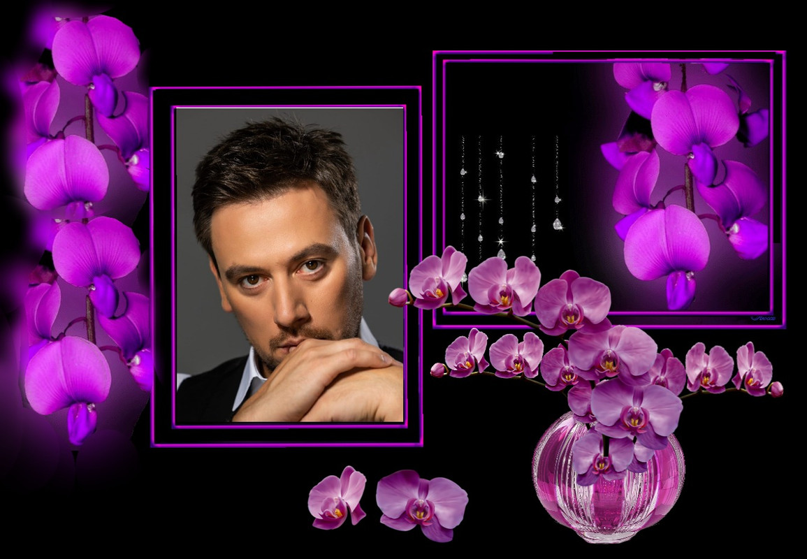 viptalisman_175544 (1)