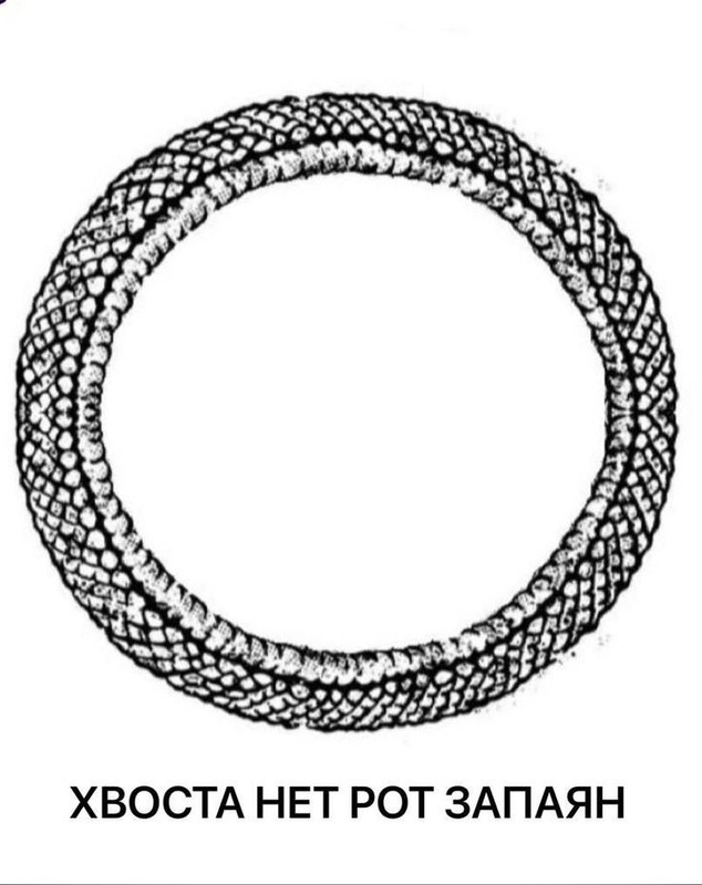 https://i.postimg.cc/fbFw3spk/1b49d437-191d-4027-8bb9-54957eace160.jpg