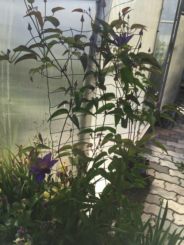 7A3F3046-3A19-4D35-BD6A-9FE9D3500082