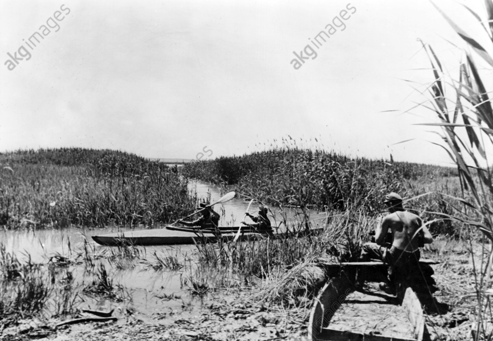 Ostfront - Kuban-Brückenkopf 1943 (1)