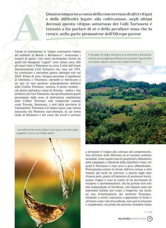 melaverde Gen 2024 (10)