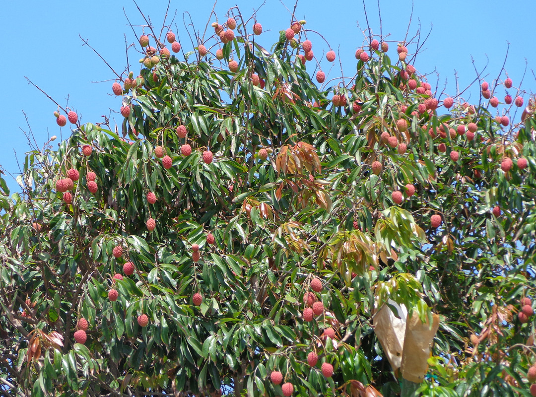 1Brewster-P2(7-27-21)