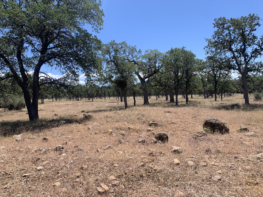 AAAEE329-43D7-4958-AC7B-A00F121D952D