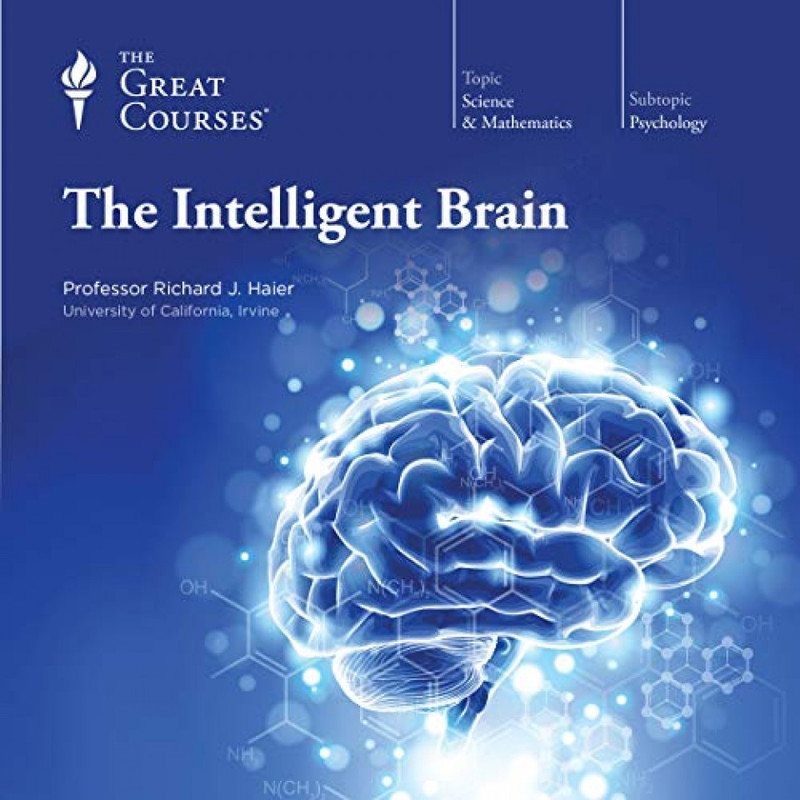 The Intelligent Brain