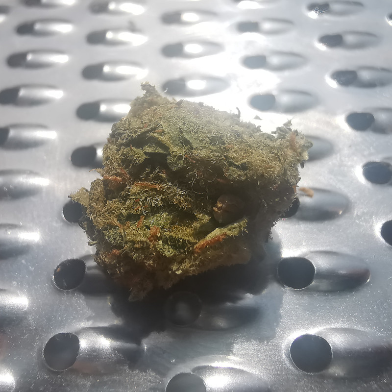 [Obrazek: Resized-Image-2026-08-03-14-08-47-4447-0.jpg]